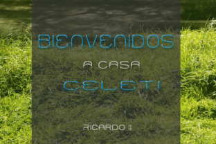 Celeti: A Playful Display Font for Editorial Design