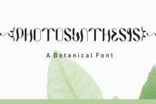 Photosynthesis: A Font That Breathes Life into Branding