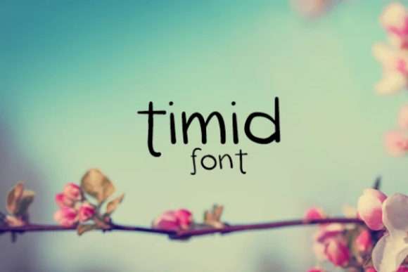 Timid: A Timeless Display Font for Modern Web Design