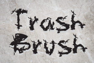 Trash Brush: A Versatile Display Font for Creative Branding