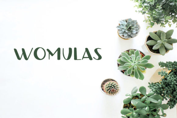 Womulas: A Quirky Display Font for Creative Projects